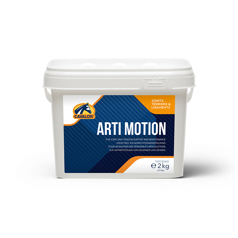 日常关节跟腱ARTI MOTION