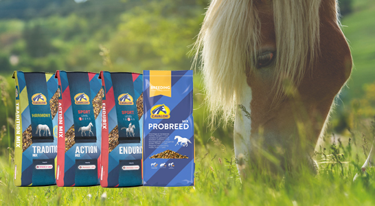 马粮产品
