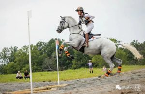 如何促进运动马增肌