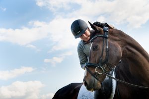 休赛期，给您和爱马的五点建议