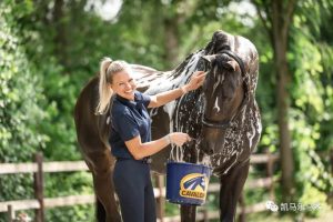 Cavalor 护理产品，功效显著，与众不同