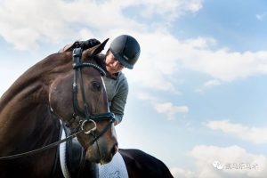 从Cavalor开始—您想知道关于凯马乐饲料的一切