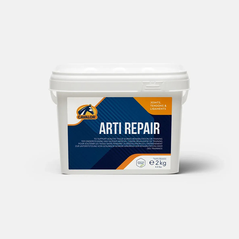 骨骼修复Arti Repair