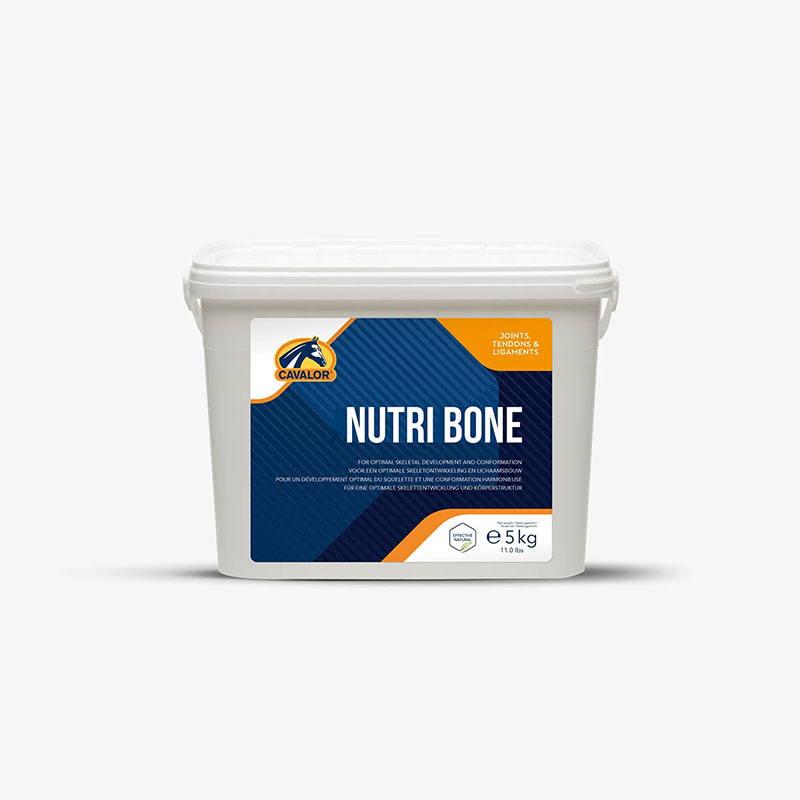 壮骨营养素 Nutri Bone